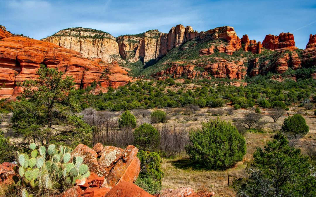 Sedona’s Dining Scene: Where to Take Your Executive Group Off-Property